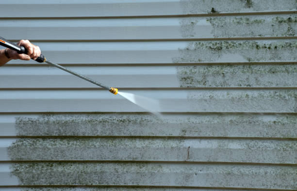 Best Sidewalk and Walkway Cleaning  in De Leon Springs, FL